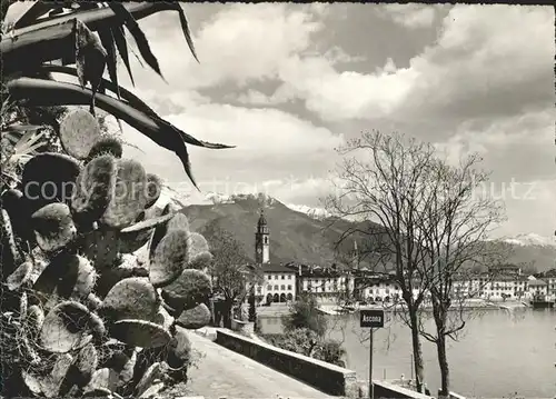 Ascona TI Panorama Lago Maggiore / Ascona /Bz. Locarno