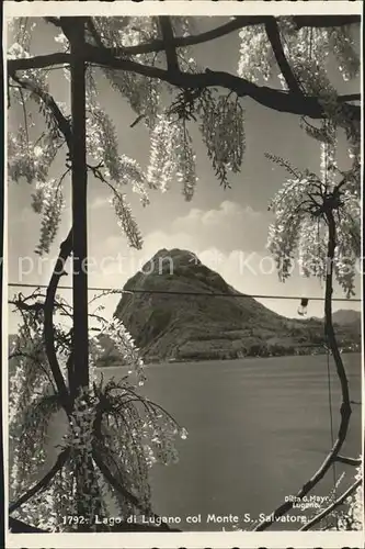 Lago di Lugano col Monte San Salvatore Kat. Italien