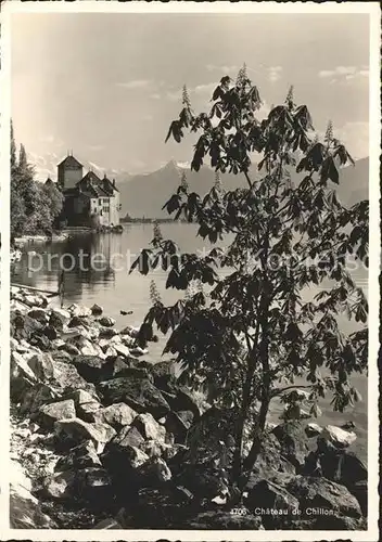 Chillon Chateau Bords du Lac Leman Kat. Montreux