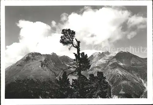 Zernez GR La Schera Nationalpark Murter Kat. Zernez