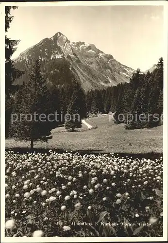 Grabs SG Alpenflora beim Kurhaus Voralp Kat. Grabs