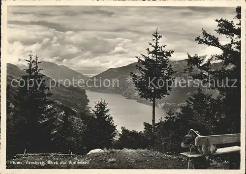 Grossberg Flums Panorama Blick auf Walensee Bergwanderung Kat. Flums