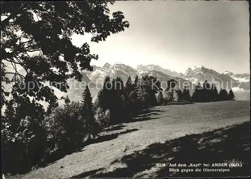 Amden SG Auf dem Kapf Panorama Blick gegen Glarner Alpen Kat. Amden