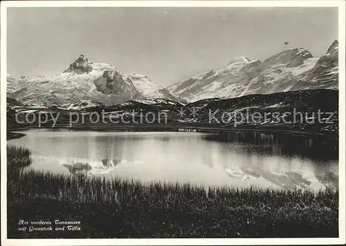 Titlis Engelberg mit Tannensee und Graustock / Engelberg /Bz. Obwalden