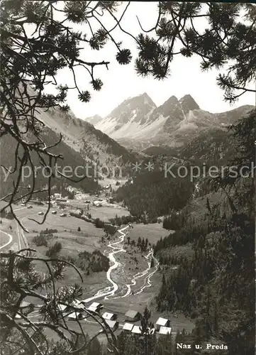 Naz Preda Blick ins Tal mit Alpenpanorama