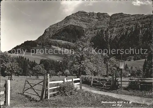 Rigi-Seebodenalp  / Kuessnacht /Bz. Kuessnacht