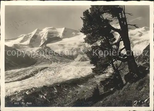 Piz Palue Gletscher / Piz Palue /Rg. Piz Bernina