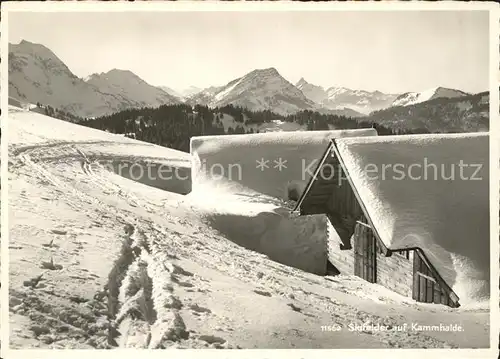 Toggenburg Skifelder auf Kammhalde Kat. Wildhaus