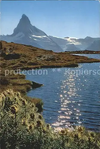 Zermatt VS Stellisee mit Matterhorn Bergsee Walliser Alpen Kat. Zermatt