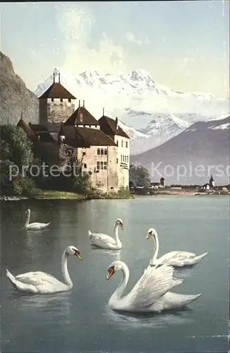 Chillon Schloss Schwaene Genfersee Dents du Midi Kat. Montreux