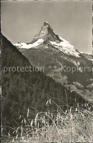 Findelen VS mit Matterhorn Walliser Alpen Kat. Findeln Findelen