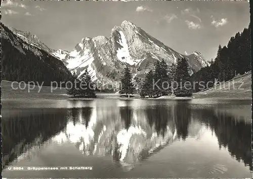 Toggenburg Graeppelensee mit Schafberg Kat. Wildhaus