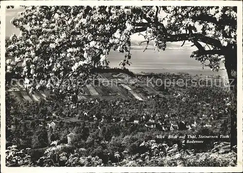 Thal Rheineck SG mit Steinernen Tisch und Bodensee Kat. Rheineck