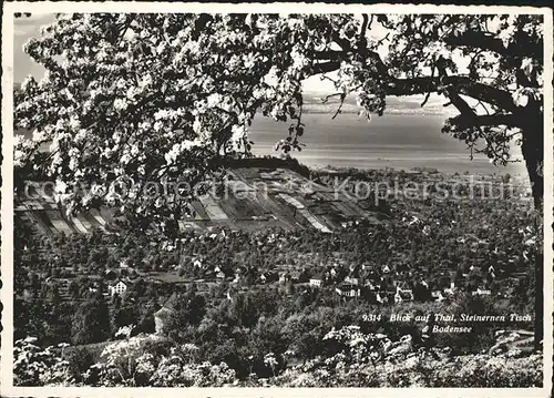 Thal Rheineck SG mit Steinernen Tisch und Bodensee Kat. Rheineck