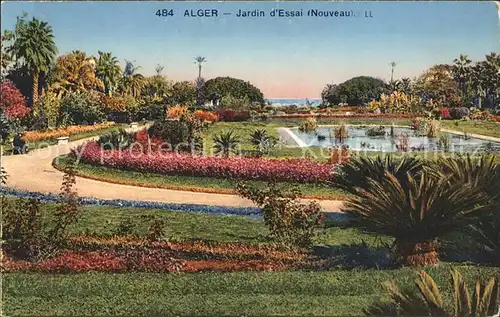 Alger Algerien Jardin d'Essai / Algier Algerien /