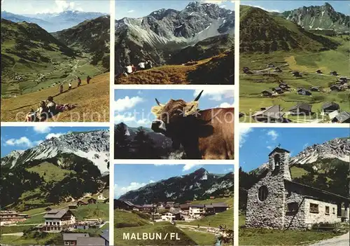 Malbun Wandergebiet Alpenpanorama Kuh Friedenskapelle Kat. Liechtenstein