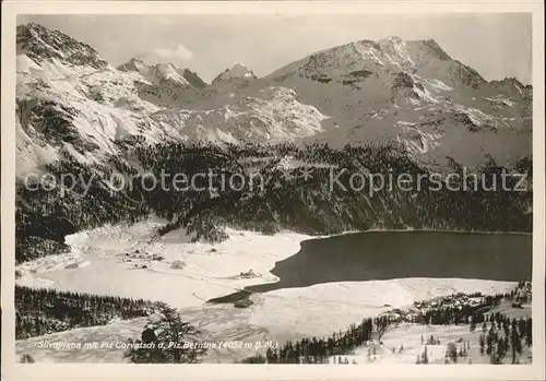 Silvaplana GR mit Piz Corvatsch und Piz Bernina Kat. Silvaplana