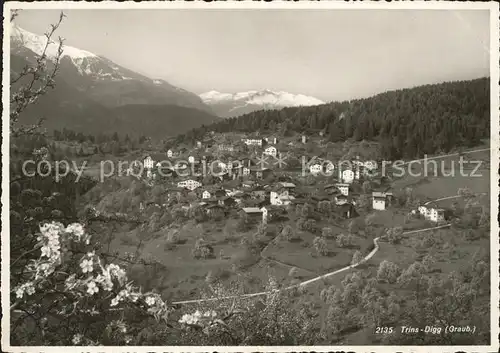 Trins Digg GR Totalansicht / Trinserhorn /Rg. Elm