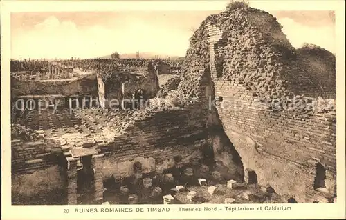 Timgad Ruines Romaines Thermes Historische Staette Kat. Algerien