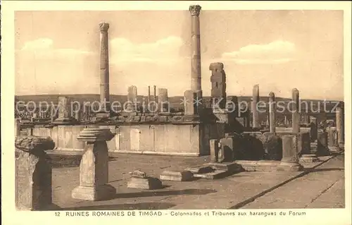 Timgad Ruines Romaines Colonnades Tribunes Forum Historische Staette Kat. Algerien
