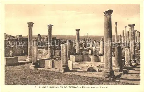Timgad Ruines Romaines Maison aux Jardinieres Historische Staette Kat. Algerien