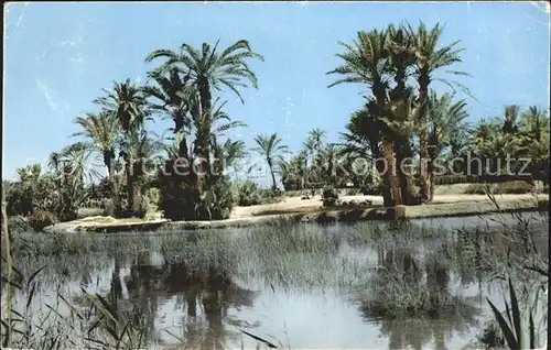 Gabes Lac du barrage romain Kat. Tunesien
