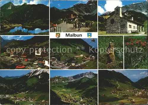 Malbun Bergsee Friedenskapelle Murmeltier Alpenflora Panorama Kat. Liechtenstein