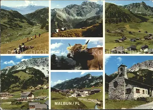 Malbun Wanderparadies Alpenpanorama Kuh Friedenskapelle Kat. Liechtenstein