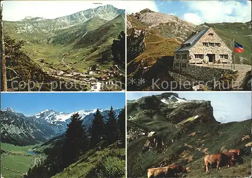Malbun Augstenberg Sareiserjoch Alpe Jugendheim Friedenskapelle Kuehe Kat. Liechtenstein