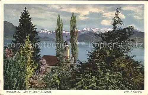 Weggis LU Vierwaldstaettersee und Alpen Kat. Weggis