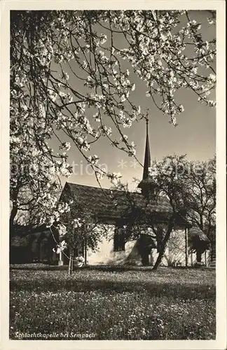 Sempach LU Schlachtkapelle im Fruehling Kat. Sempach