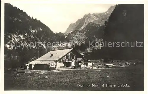 Wallis Valais Kanton Pont de Nant et Pierre Cabotz Kat. Sion