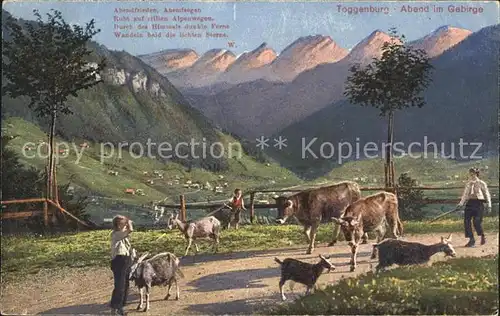 Toggenburg Gebirgspanorama Huetejungen mit Ziegen und Rindern Kat. Wildhaus