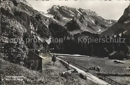 Obertoggenburg Aelpli mit Saentis Kat. Wildhaus