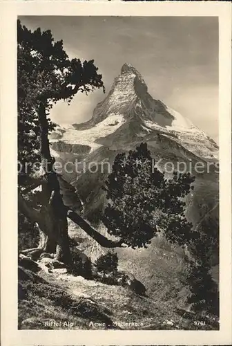 Matterhorn VS Riffelalp  Kat. Matterhorn