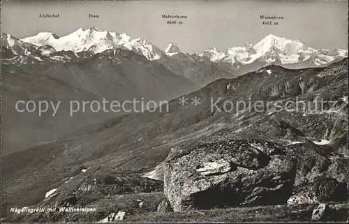 Wallis Valais Kanton Naegelisgraetli mit Walliser Alpen Kat. Sion