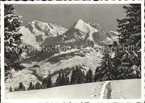 Obertoggenburg Skigebiet mit Saentisgruppe Kat. Wildhaus