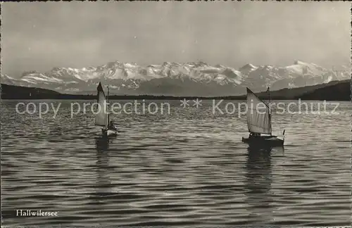 Hallwilersee mit Segelbooten und Alpen Kat. Hallwil