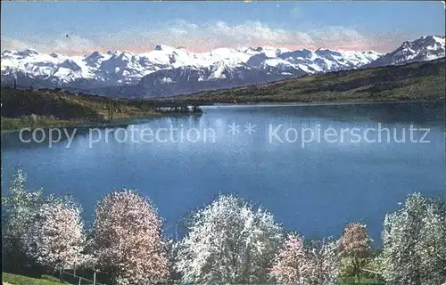 Hallwilersee Kuenstlerkarte See und Alpen Kat. Hallwil