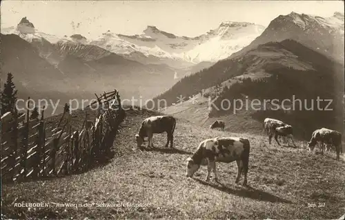 Adelboden Am Weg zur Schwandfeldspitze Kat. Adelboden