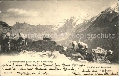 Kandersteg BE Alpschelenweide Hohtuerli und Bluemlisalp Kat. Kandersteg