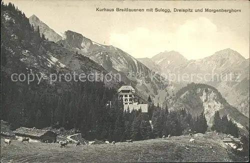 Breitlauenenalp Kurhaus Breitlauenen mit Sulegg Dreispitz und Morgenberghorn Kat. Gsteigwiler