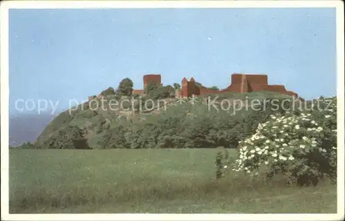 Bornholm Hammershus Ruiner Ruinen Kat. Daenemark