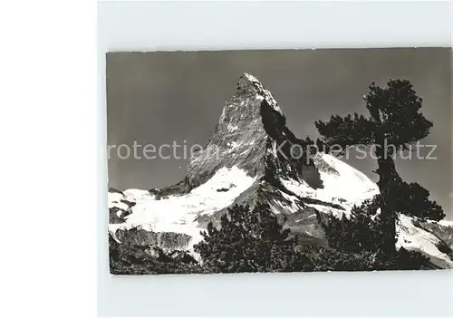 Zermatt VS mit Rifelalp und Matterhorn Kat. Zermatt