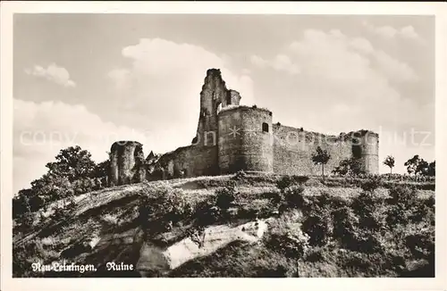 Neuleiningen Ruine / Neuleiningen /Bad Duerkheim LKR