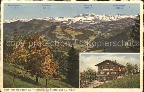 Hoernli Kulm Berggasthaus Hoernli mit Alpenpanorama Kat. Hoernli