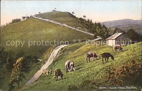 Hoernli Kulm Toesstal Kuehe  Kat. Hoernli