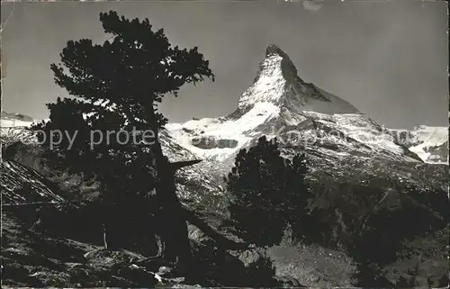 Matterhorn VS Rifelalp Zermatt Kat. Matterhorn