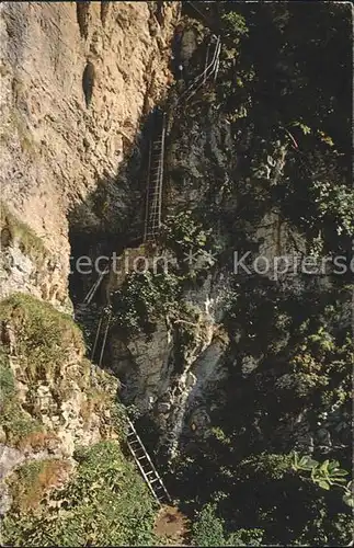 Leukerbad Albienenleiter auf dem Weg nach Albienen Kat. Loeche les Bains