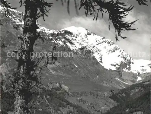 Leukerbad Balmhorn Kat. Loeche les Bains